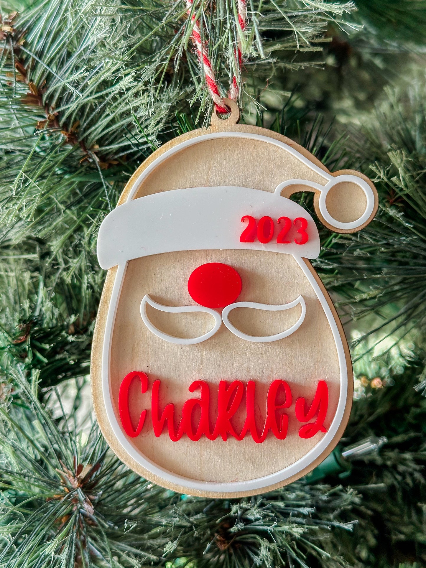 Personalized Santa Ornament